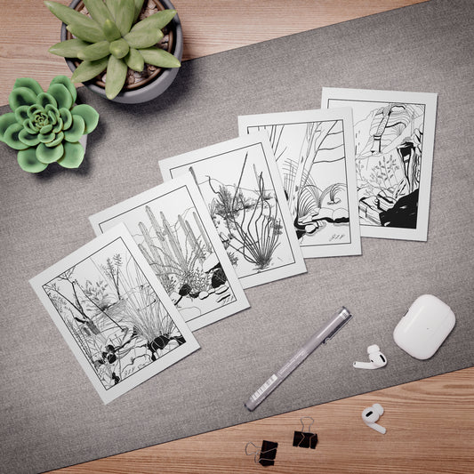 Premium Hand-Drawn Fine Art Note Cards by Jean Penczar (Set of 5) | Sabino Canyon