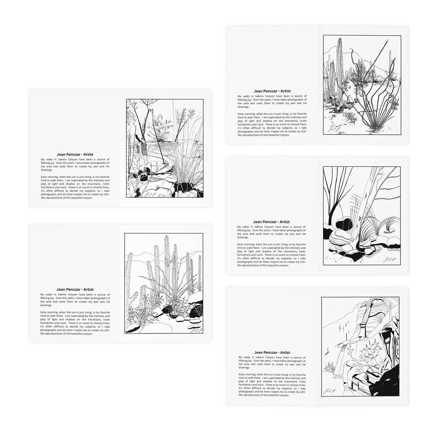 Sabino Canyon Hand-Drawn Fine Art Note Cards by Jean Penczar (Set of 5)