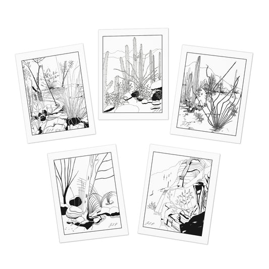 Sabino Canyon Hand-Drawn Fine Art Note Cards by Jean Penczar (Set of 5)