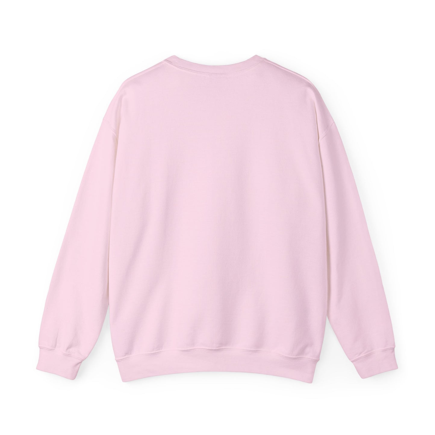 The World is Round - Pullover Sweatshirt Premium Wearable Art